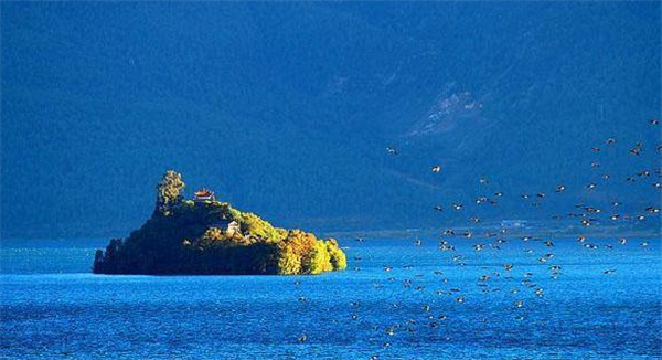 受困于孤島的產(chǎn)品，如何利用軟文營銷自救？