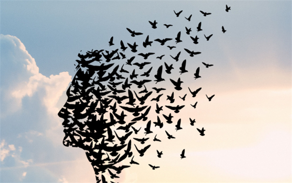 當(dāng)創(chuàng)意策劃搭上平臺(tái)，軟文推廣就水到渠成！